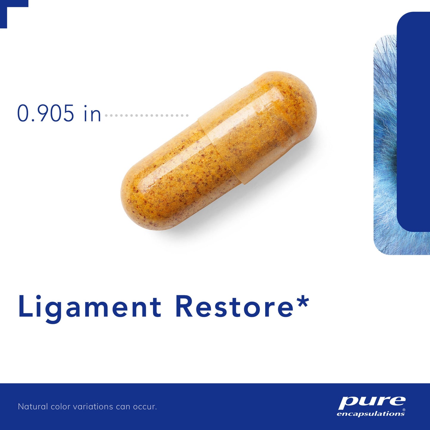 Ligament Restore